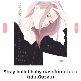 Stray bullet baby ก่อรักไม่ทันตั้งตัว (เล่มเดียวจบ)