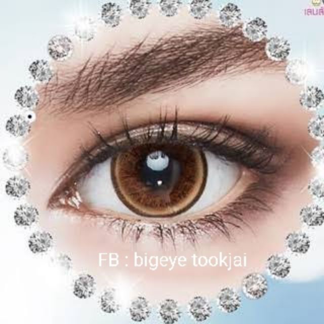 💟 Pitchylens Blizzard ( Frozen )mini bigeye brown gray Contactlens บิ๊กอาย คอนแทคเลนส์ ราคาถูก แถมตล