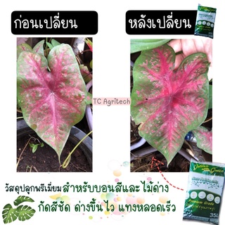 วัสดุปลูกพืช(พรีเมี่ยม)สำหรับบอนสี อโลคาเซีย ไม้ด่าง ไม้กระถาง กัดสีเด่น ใบใหญ่แตกใบไว วัสดุปลูกกัญชากระท่อม