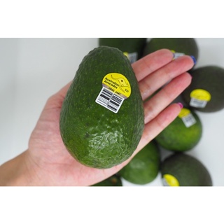 avocado hass australia อะโวคาโด by Aus