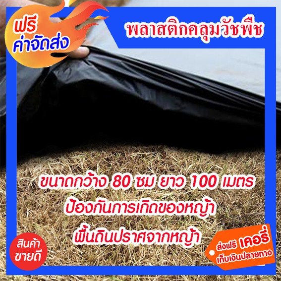 พลาสติกคลุมดิน ไม่เจาะรู กว้าง 80 เซนติเมตร ยาว 100 เมตร พลาสติกคลุมป้องกันการเกิดของหญ้า พื้นดินปราศจากหญ้า
