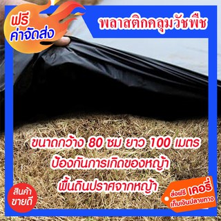 **ส่งฟรี** พลาสติกคลุมดิน ไม่เจาะรู กว้าง 80 เซนติเมตร ยาว 100 เมตร พลาสติกคลุมป้องกันการเกิดของหญ้า พื้นดินปราศจากหญ้า