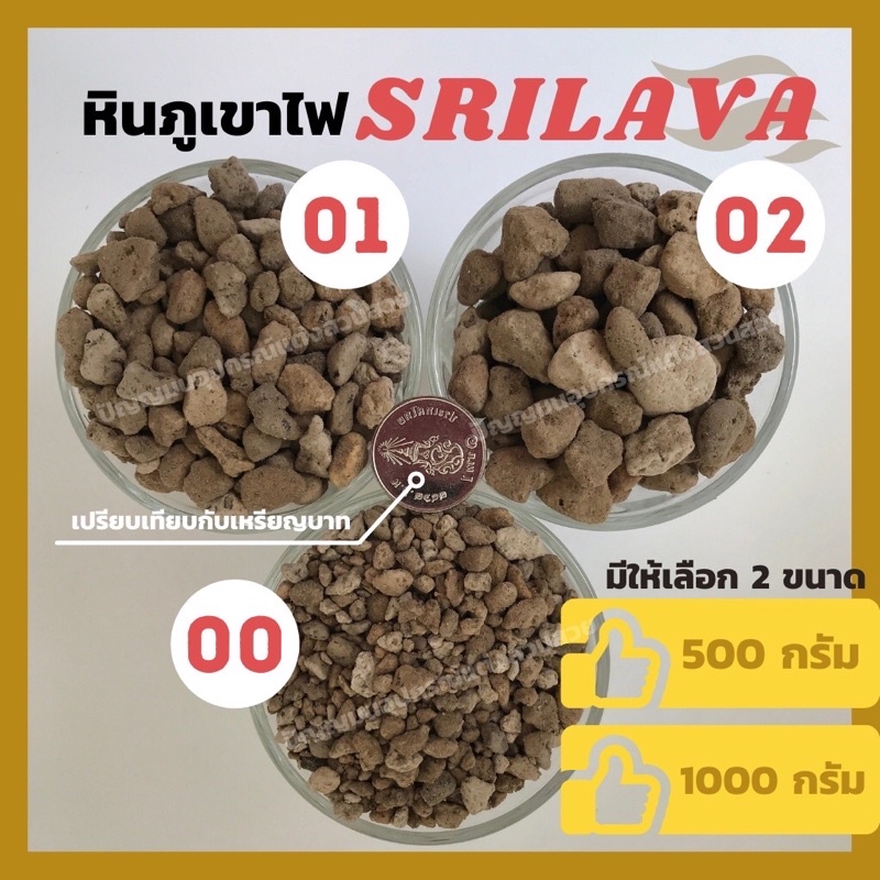 หินภูเขาไฟ ศรีลาวา รองก้นกระถาง หรือผสมดินปลูก