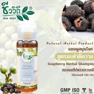 แชมพูสมุนไพรแท้สูตรมะคำดีควาย soapberry herbal shampoo ลดความมันหนังศรีษะ ป้องกันผมร่วง