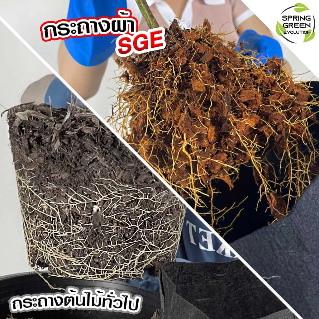 SGE กระถางผ้าปลูกต้นไม้ GB Gallon thumbnail 6