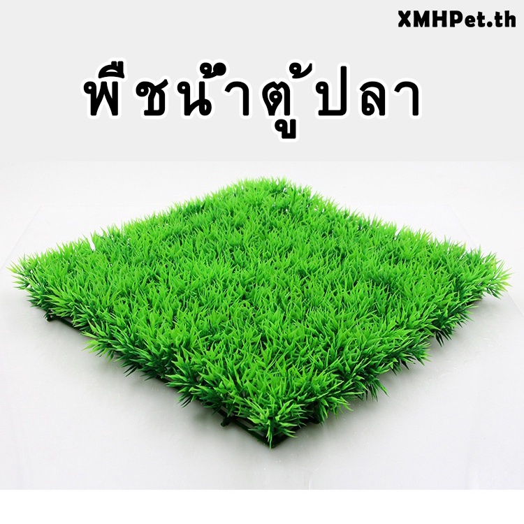 พิพิธภัณฑ์สัตว์น้ําพืช1ชิ้นการจัดสวนจําลองพืชน้ํา