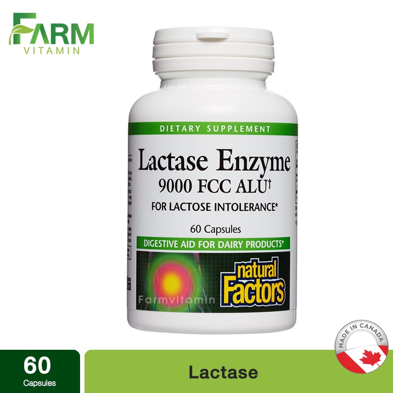 Natural Factors, Lactase Enzyme, 9000 FCC ALU, 60 Capsules, เอนไซม์ย่อยนม