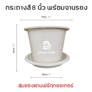 กระถางกลมสีขาว 8 นิ้ว พร้อมจานรอง (พลาสติก) | White round pot 8 inches with saucer (plastic)