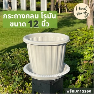 กระถางกลม ทรงโรมัน 12 นิ้ว สีขาว (พร้อมถาดรอง) กระถางไม้ใบ กระถางไม้ดอก กระถางกุหลาบ | Round White Pot 12" with Tray