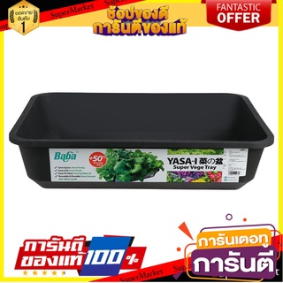 🔥ของแท้!! กระถางพลาสติกทรงสี่เหลี่ยม BABA ไซส์ L สีดำ  PLASTIC PLANT BABA L BLACK 🚚!✅