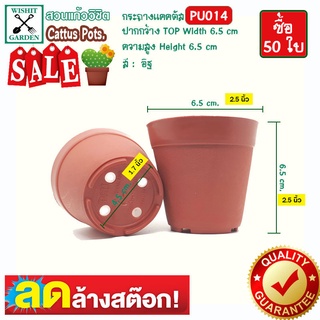 กระถาง PU014 ขนาด 2.5 นิ้ว สีอิฐ 50 ใบ เนื้อพลาสติกแน่นหนาทนทาน ราคาถูก กระถางแคคตัส กระถางกระบองเพชร