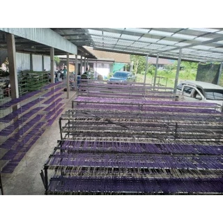 ธูปสมุนไพรไล่ยุงสูตรเข้มข้นอุตสาหกรรมครัวเรือน 1 กิโลกรัม ประมาณ 550-560 ก้าน ราคา เก็บเงินปลายทางคะ