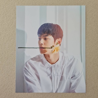 [แท้/พร้อมส่ง] หน้าปฏิทิน​ตั้งโต๊ะ​ Desk Calendar ชาอึนอู อึนอู Eunwoo Astro 2022 Seasons Greetings Tea ver