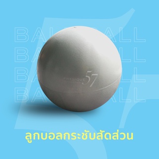 Physique 57 Exercise Ball (Silver)