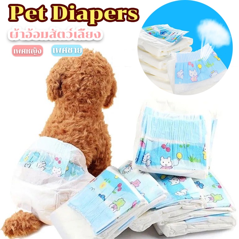 พร้อมส่ง   ผ้าอ้อมสุนัข  ชายหญิง ผ้าอนามัยสุนัข S-XL