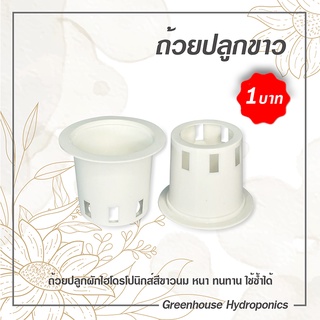 ถ้วยปลูกผักไฮโดรโปนิกส์สีขาว 1 ชุด จำนวน 10 ใบ