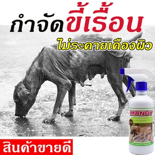 สเปรย์ กำจัดไรขี้เรื้อน ขนาด 450 Ml ลดอาการคัน ไม่แสบผิว ยาขี้เรื้อนหมา น้ำยาขี้เรื้อน กำจัดขี้เรื้อน ยาขี้เรื้อนหมา