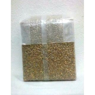 🌾ข้าวสาลี ต้นอ่อนข้าวสาลี หญ้าแมว(แพคสุญญากาศ) ปลอดสาร 1 กิโล Wheatgrass 😻กินได้ทั้งคนและสัตว์เลี้ยง