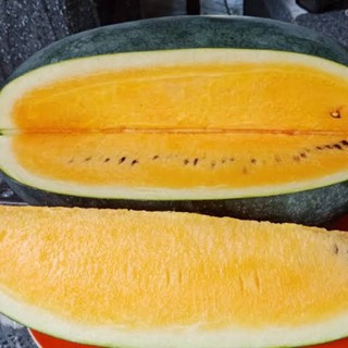 เมล็ดพันธุ์ แตงโม โกลเด้นสวีท ( Golden Sweet Watermelon Seeds ) ความหวาน 13-14 บริกซ์ เนื้อสีเหลืองทอง (บรรจุ 15 เมล็ด)