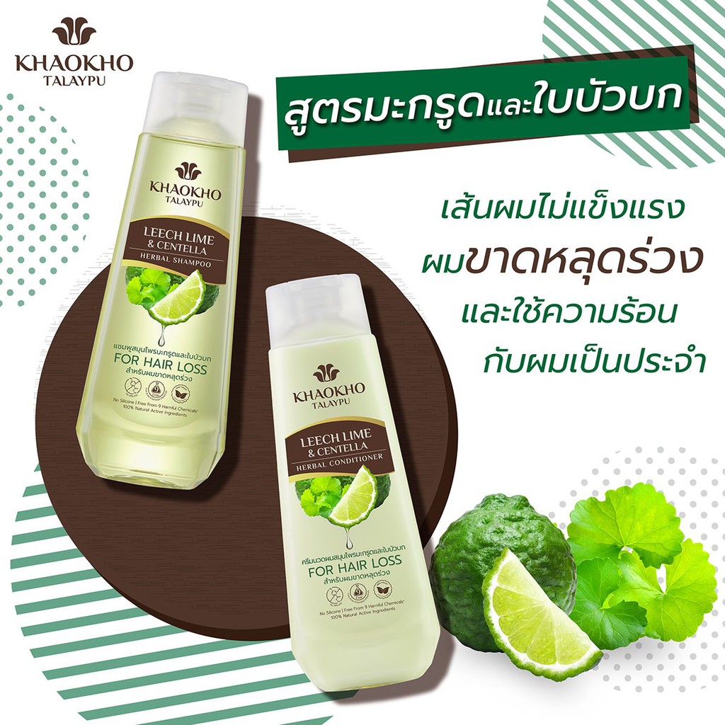 รูปภาพ 3