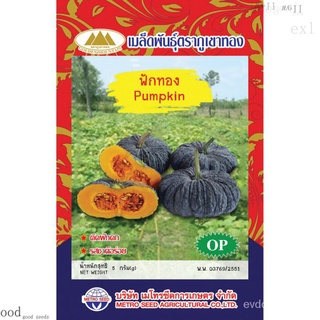 เมล็ดพันธุ์ฟักทอง (Pumpkin Seeds ; OP) ติดผลดก รสชาติอร่อย ตราภูเขาทองesculentumChamomileSunflowerFlowerManilaGrassRoseM