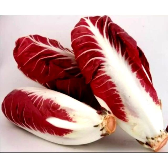 เมล็ดพันธุ์แรดิชิโอ แรดิชิโอม่วง 220 เมล็ด อุดมไปด้วยสารต้านอนุมูลอิสระ [10 แถม 1 คละได้]