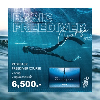 คอร์สเรียน "เบสิกฟรีไดฟ์" PADI Basic Freediver by PARAN Freediving