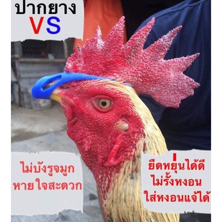 นวมไก่ชน นวมมัดปากไก่ชน เป็นชุดนะครับ 1 ชุดมี 4 คู่ สำหรับลงนวมมัดปากไก่ชนทำจากยางพาราคารับประกันคุณภาพ