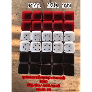 ชุดเซตถาด 2 นิ้ว มีสีดำ หรือสีอิฐ หรือคละสี
