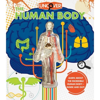 Uncover the Human Body หนังสือEnglish Bookใหม่พร้อมส่ง