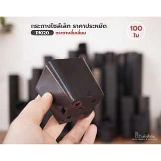 กระถาง 2 นิ้ว  มีหลายแบบให้เลือก ( เซต 100 ใบ )