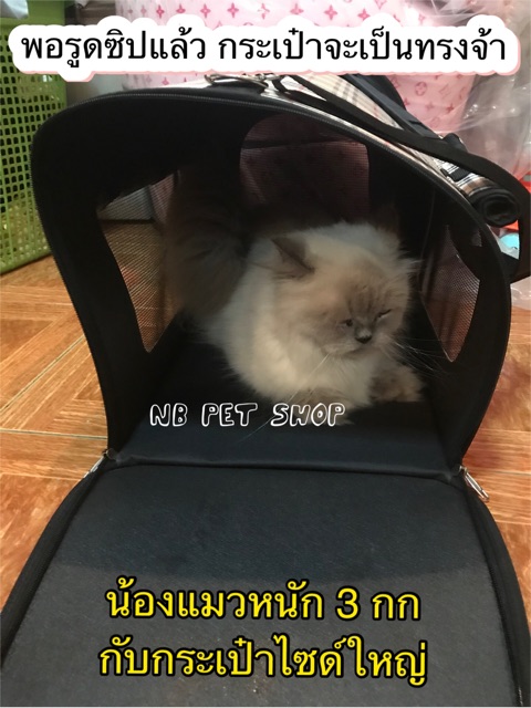 กระเป๋าใส่สัตว์เลี้ยง แมว สุนัข ไซด์ใหญ่ ระบายอากาศได้ดี ราคาเบาๆ คุณภาพดี ลายน่ารัก - รูปที่ 3