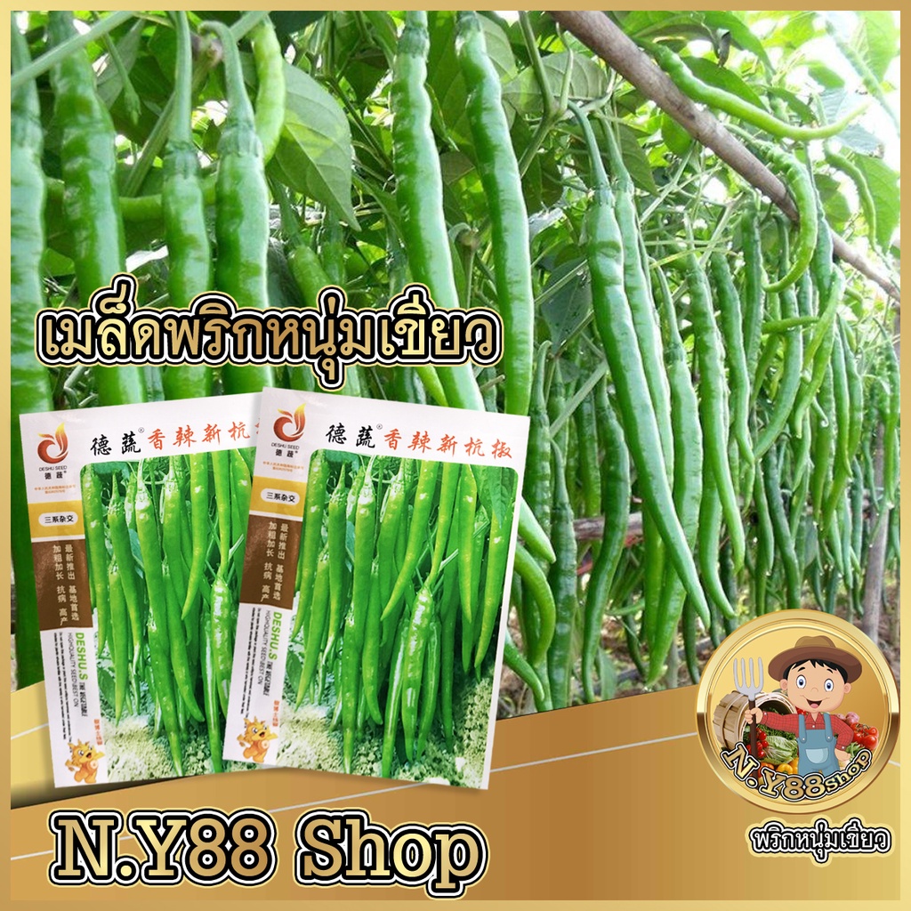 5แถม1 เมล็ดพริกหนธุ์พริกโจรอง 100เมล็ด เมล็ดพันธ์ผักสวนครัว เมล็ดพันธุ์คุณภาพ เมล็ดพันธุ์แท้ ทำพันธุ์ต่อได้