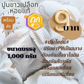 ปูนขาวเปลือกหอยแท้ 9 บาท