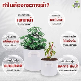 กระถางผ้า สีขาว กระถางผ้าปลูกต้นไม้ ถุงปลูกต้นไม้ กระถางต้นไม้ GBW Gallon ของแท้จาก SGE