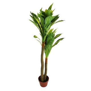 ต้นวาสนาประดิษฐ์120 ซม. ARTIFICIAL DRACAENA TREE 120 CM