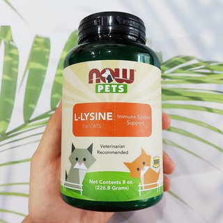 แอล-ไลซีน สำหรับแมว Now Pets L-Lysine for Cats 226.8g (Now Foods®) อาหารเสริม สำหรับสัตว์เลี้ยง