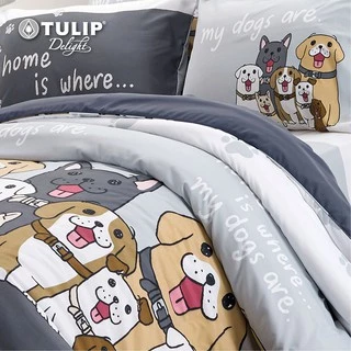 TULIP Delight หมาจ๋า DLC044 ลิขสิทธิ์แท้หมาจ๋า ชุดผ้าปูที่นอน ผ้าห่ม ผ้านวม พิมพ์ลายการ์ตูน ให้สัมผัสนุ่ม