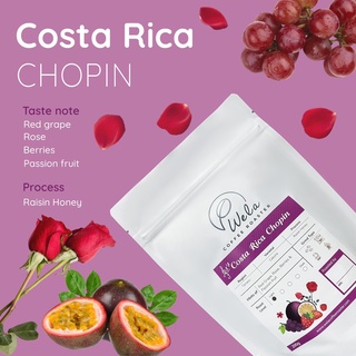 เมล็ดกาแฟคั่ว Costa Rica Chopin, Raisin Honey Process, Light Roast - 200g