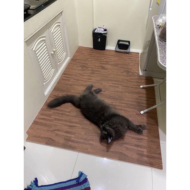 Thumbnail 9