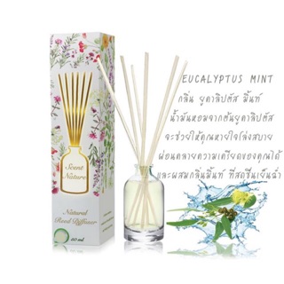 น้ำหอมไม้ปักอโรม่า กลิ่น Eucalyptus mint : scent nature