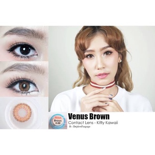 Kitty kawaii Venus brown (14.5)