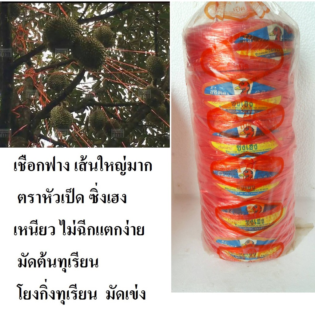 ยกแถว เชือกฟาง เส้นใหญ่มาก สีแดง ตราหัวเป็ด ซิ่งเฮง เหนียว ไม่ฉีกแตกง่าย มัดต้นทุเรียน โยงกิ่งทุเรียน  มัดเข่ง