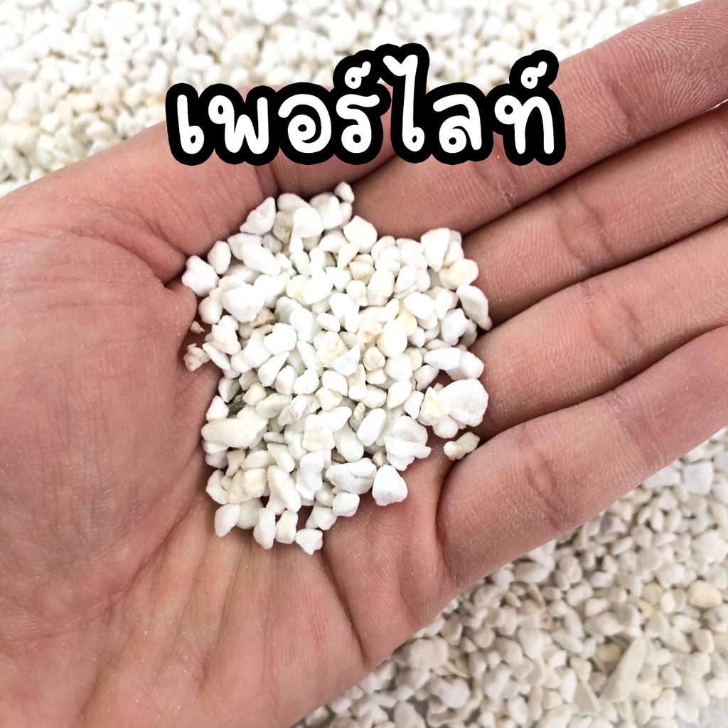 วัสดุปลูก เพอร์ไลท์ แบ่งบรรจุ 0.5 - 3 ลิตร ใช้ผสมดินเพิ่มความโปร่งในดิ ต้นไม้ฟอกอากาศ ต้นไม้ในห้อง ต้นไม้มงคล