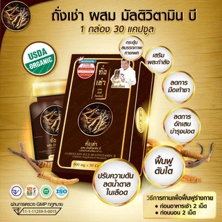 โปรโมชั่น 3 กล่อง ถั่งเช่ายิ่งยง Cordyceps Plus Multi Vitamin B ถั่งเช่า มัลติ วิตามินบี 3 กล่อง (90 แคปซูล)