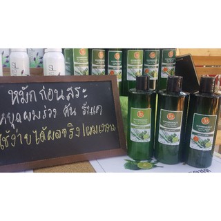 แชมพูป้องกันผมร่วง หมัก สระ นวด ขนาด500ML ชุดประหยัด