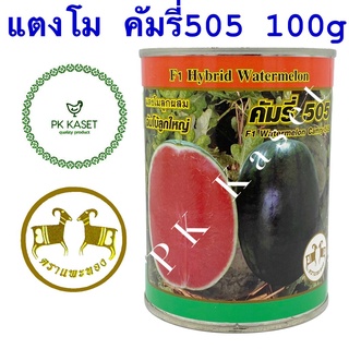 เมล็ดแตงโม คัมรี่ 505 ตราแพะทอง กระป๋อง ขนาด 100 g แตงโมลูกผสม F1 จัมโบ้ลูกใหญ่