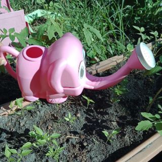 บัวรดน้ำพลาสติก บัวรดน้ำช้างน้อย คละสี  elephant watering can ขอสงวนสิทธิ์ในการเลือกสี แบบสุ่มสี