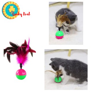 ของเล่นแมว บอลล้มลุก ( Cat toy) .......................ที่ลับเล็บแมว คอนโดแมว แอดโวเคท  ยาถ่ายพยาธิแมว แปรงขนแมว