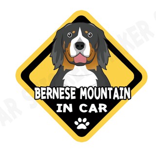 สติกเกอร์ติดรถ สติ๊กเกอร์ติดรถยนต์ สติกเกอร์หมา DGA36  Bernese Mountain Dog